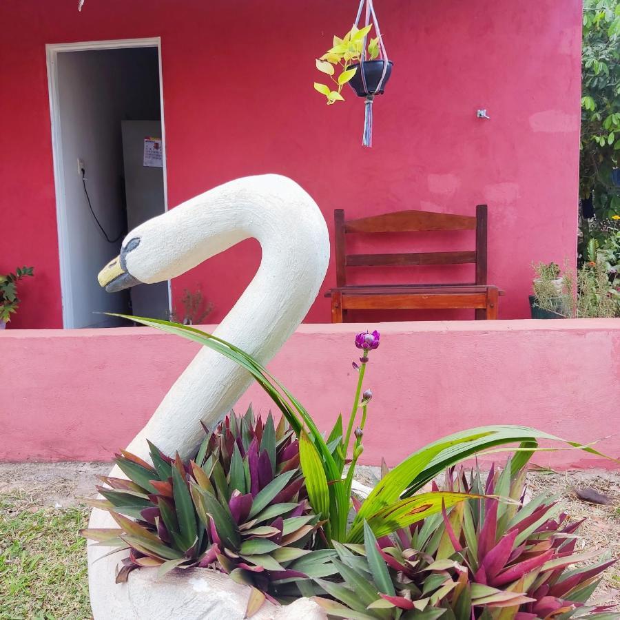Espaco Slow Living Flor Do Pantanal Piraputanga Exterior foto